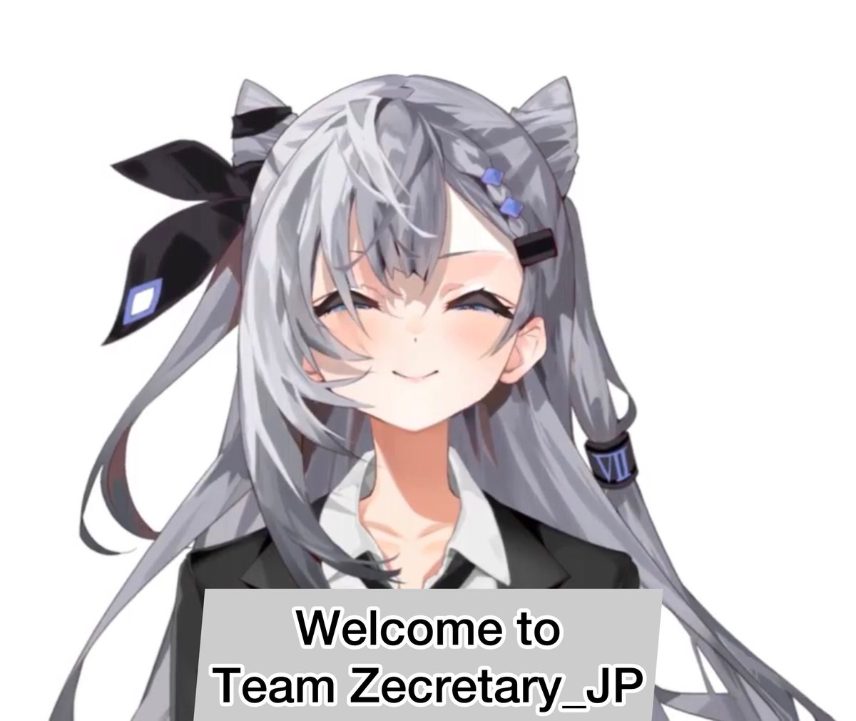 Team Zecretary JP📜(JP Zecretaryサポーター) (@Zecretary_JP) / Posts / X