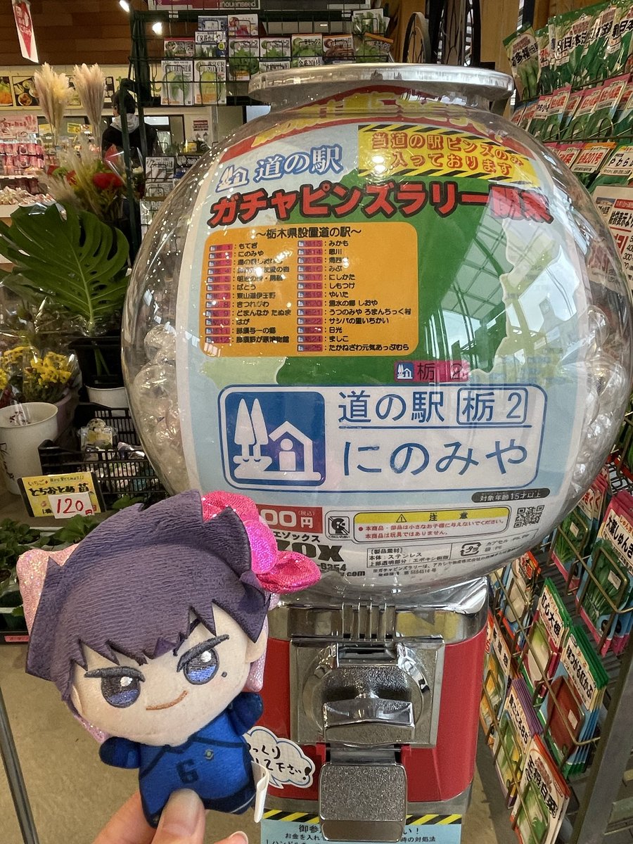 道の駅　栃木県版　ピンズ　コンプリート品 協議会レポート|栃木県道の駅連絡協議会