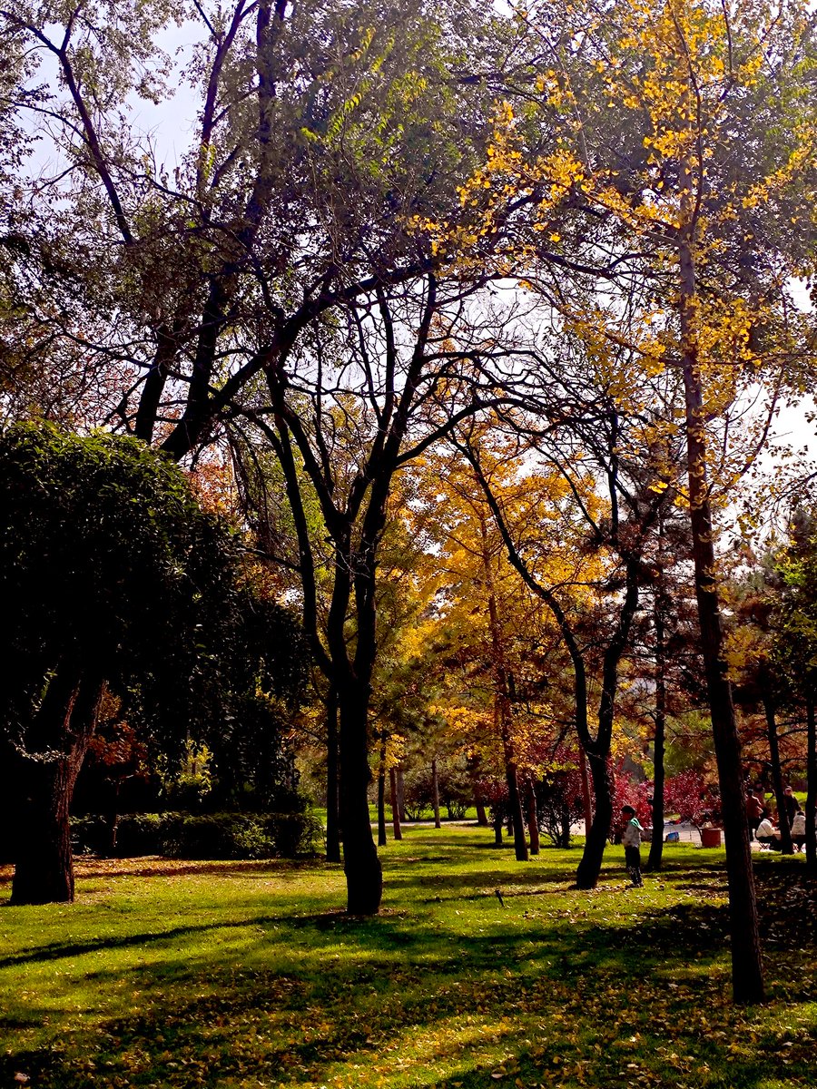 david_andrew123's tweet image. Afternoon