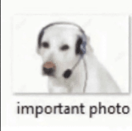 eu: estudante paga meia?
a atendente do cabaré: