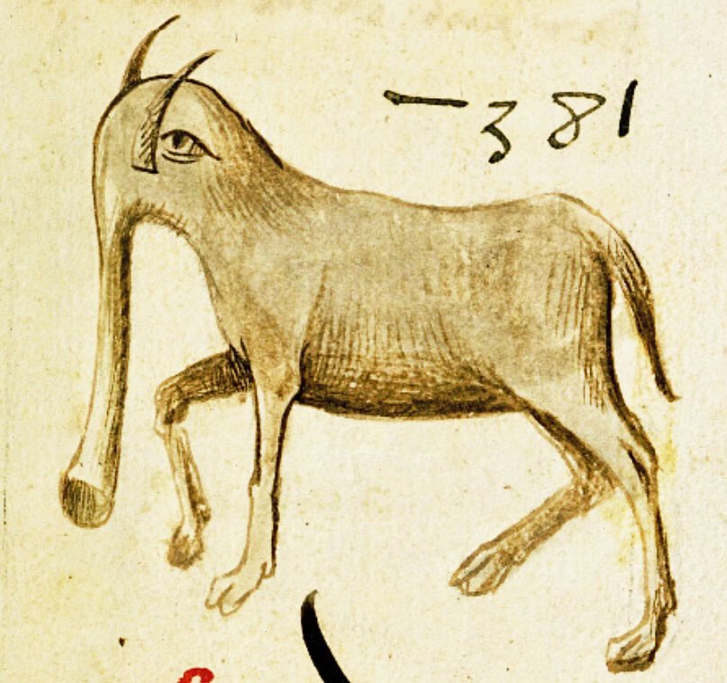 An ‘elephant done by a medieval artist that had never seen one’   -   15th century, London, Wellcome Library, MS.626, f. 228r