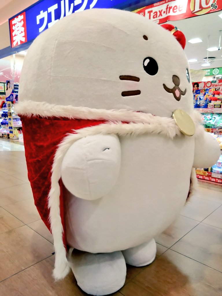 ねこねこ (@neconecotora) / Posts / X