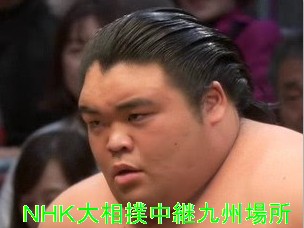 SUMOさん専用です sumo