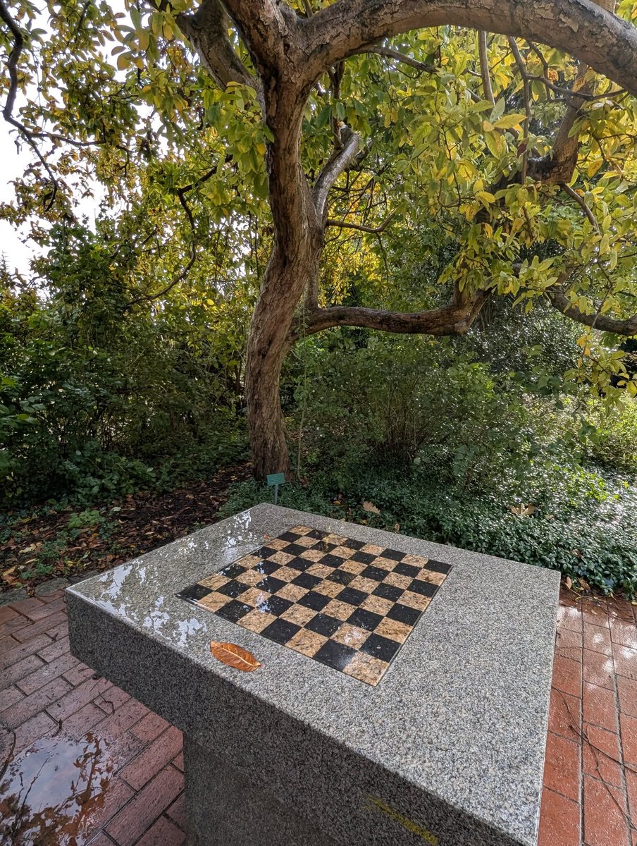 Im Schulgarten in Lübeck, unter Eingeweihten auch "Blumenberg" genannt, gibt es auch Schachbretter. Leider habe ich dort noch nie jemanden spielen sehen.
#Schach #Lübeck #Blumenberg