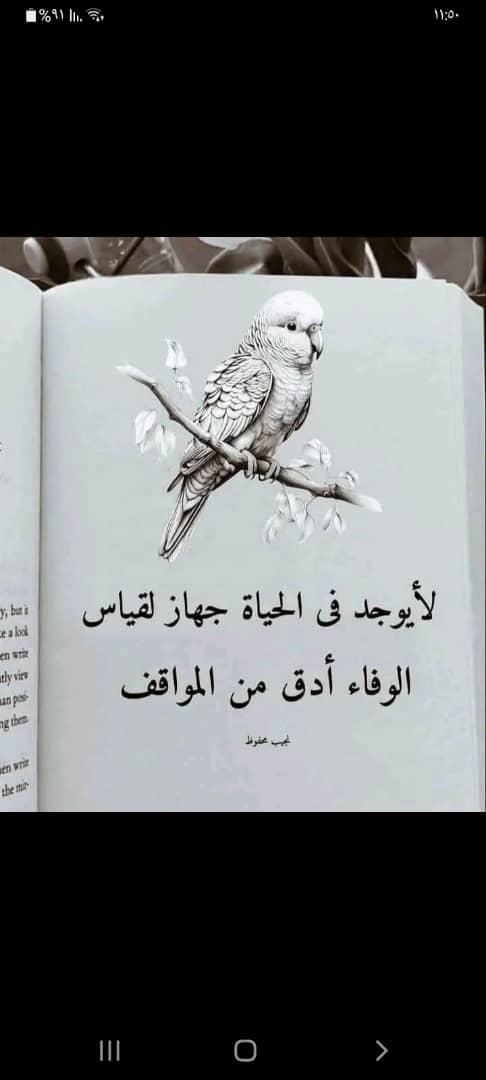 ها انا
أفتحُ للوجع نافذتهُ الأخيرة
وأترك قلبي يجثو
على ركام الأيام
كأنهُ تعِبَ من حمل نفسه
ومن إصلاحِ ما تهشم فيه

لم يبقَ في الروحِ
ما تقوى به على ابتزاز الألم
صار الحزنُ شيخاً
يستندُ إلى كتفي
ويُمليني مراثيه
وصار الهم رفيقاً قاسِياً
لا يمل الطرق على ابواب نومي