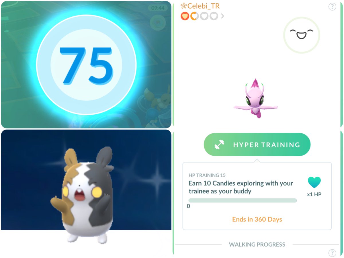 ギフト開封、ありがとうございます🙇‍♂️
76へのタスクは300km歩く。
おうかんセレビィさんでも200km歩く。
のんびり歩いてGOします🚶‍➡️