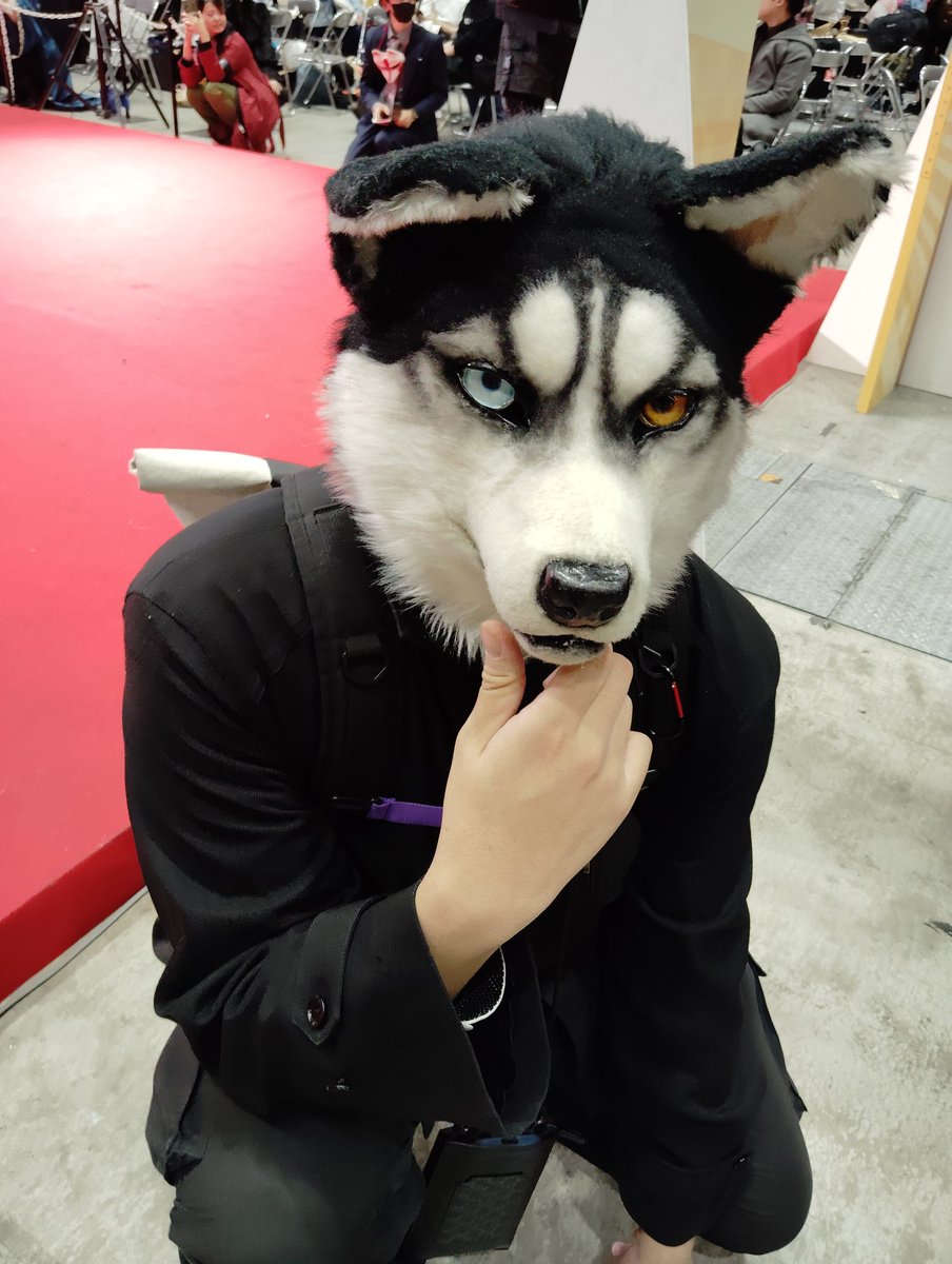 🔰フィクサー/FiXer▶️kemocon▶️獣身売買4▶️jmof (@FiXer222222