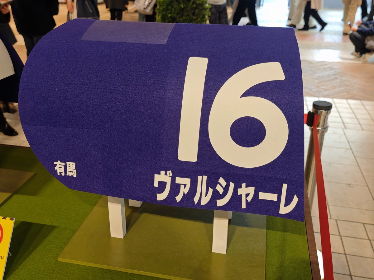 20251123 東京競馬場、あまりやる気なくダラダラとだけど、ウェルカム