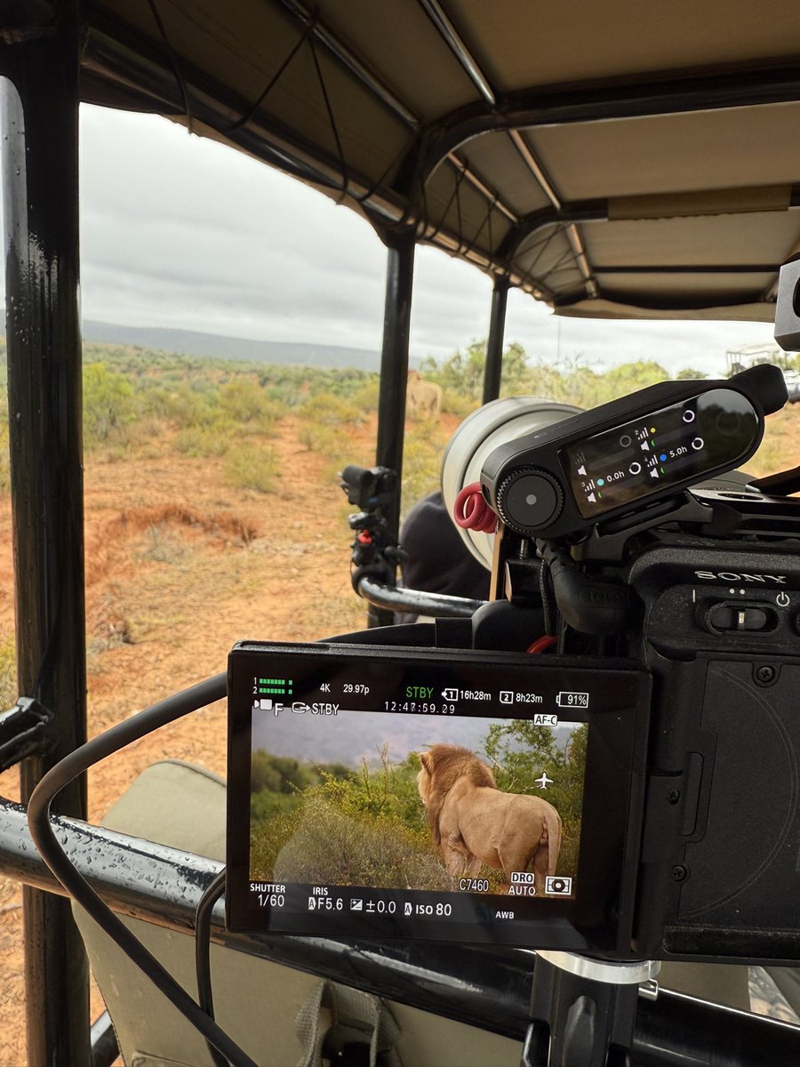 Connor O'Brien tweet media