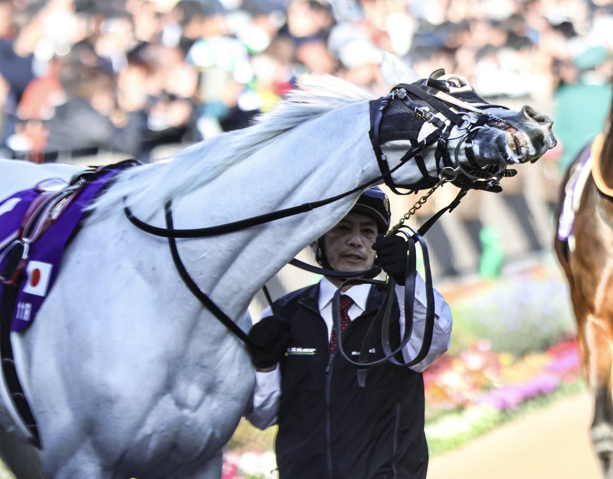 edward4th66's tweet image. シェケナ⤴︎🦄‼️✨
　　　　角度よ🤣🤣🤣

＃ガイアフォース ＃マイルCS