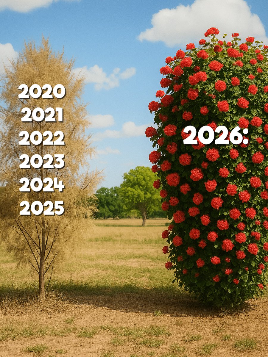 TheRich_Gospel's tweet image. 2026 will be our year.