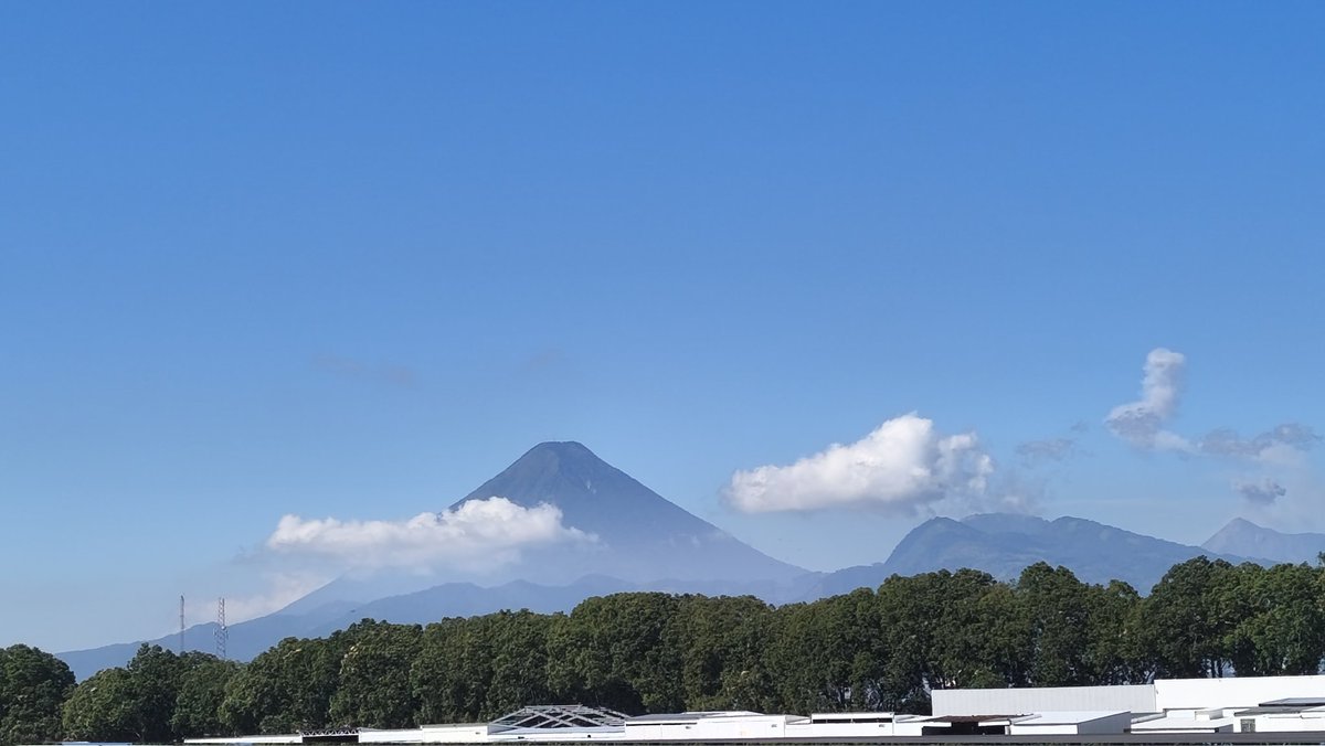 Francisco Alejandro M tweet media