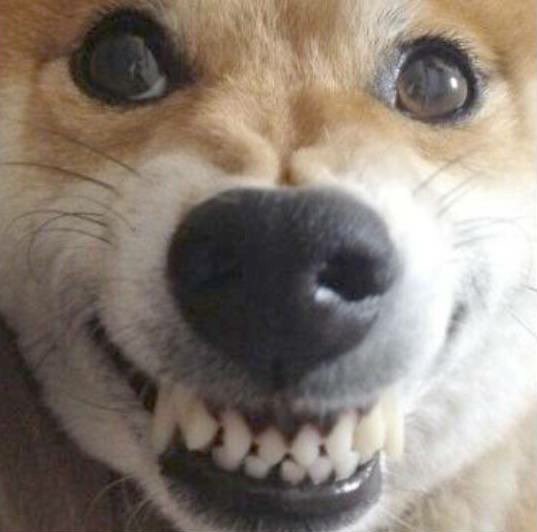 투바투연차가잇는데
이제성적에연연하기보다는
즐기면서하자.
.
.
.
이딴개소리하지마라!!!총력을다해라!!!
성적에존나연연하자!!!존나성적이중요함
이번이마지막인거처럼이아니라이미마지막임
막방햇으니까진심을다해서투표해라!!!
연준님에게어울리는팬화력을보여주자!!!