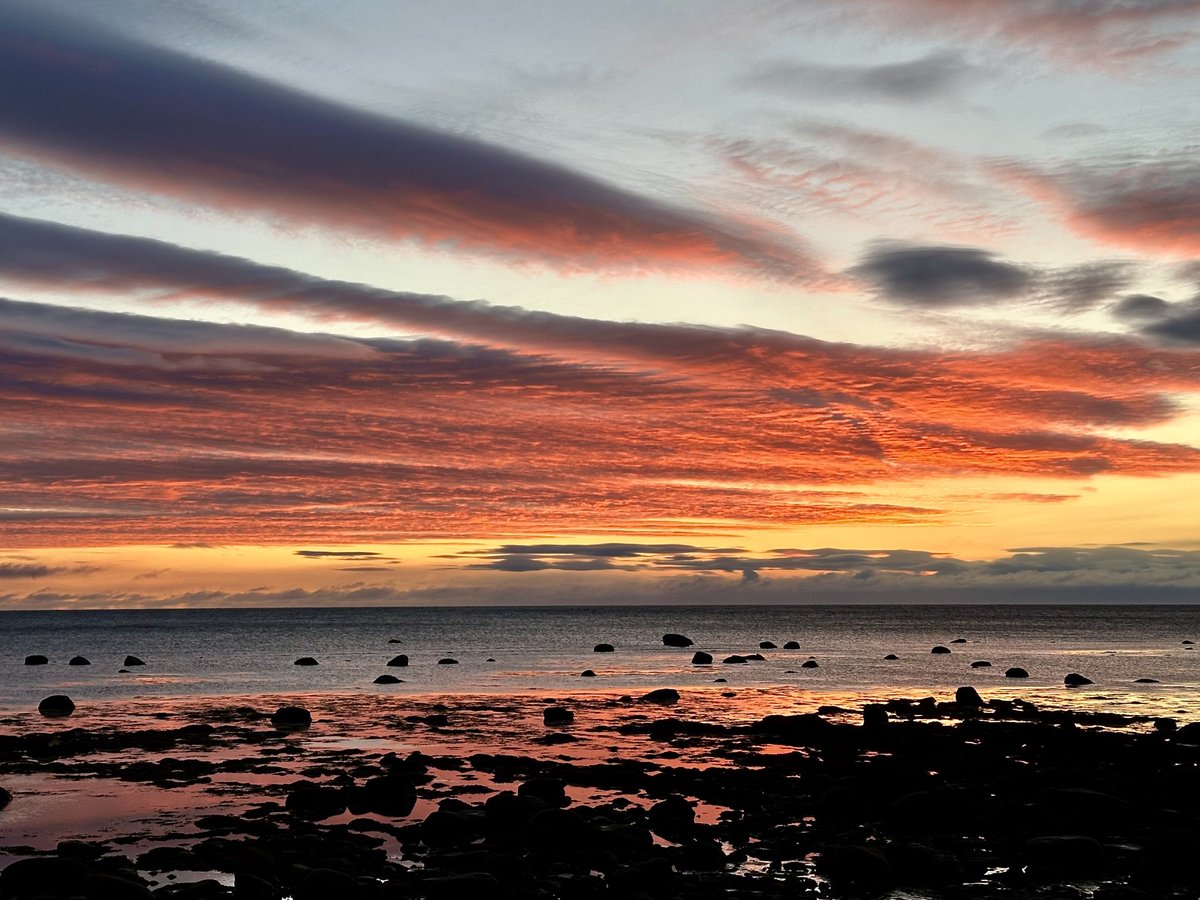 btleparadis's tweet image. WoW 🤩