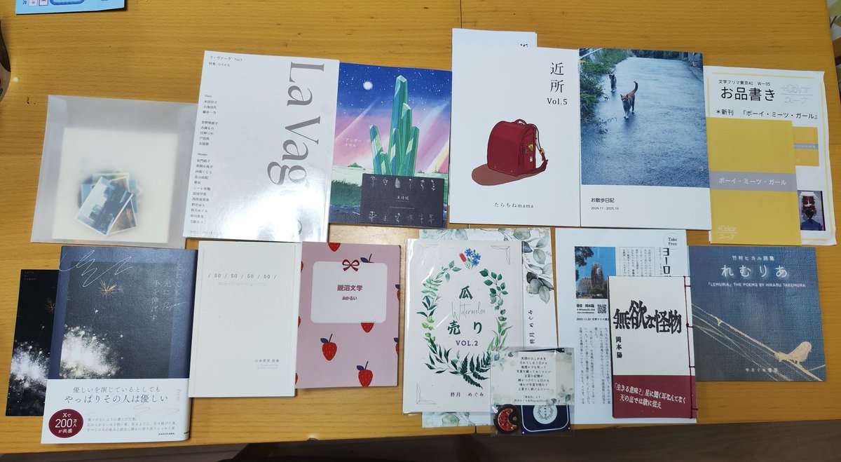 じっくり読みます😺
#文学フリマで買った本