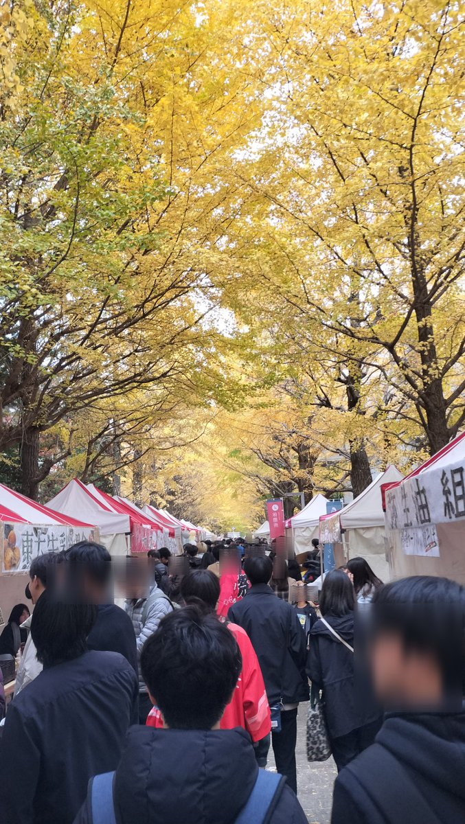 comicacualium's tweet photo. 駒場祭
人多かった https://t.co/mRemy5eWha