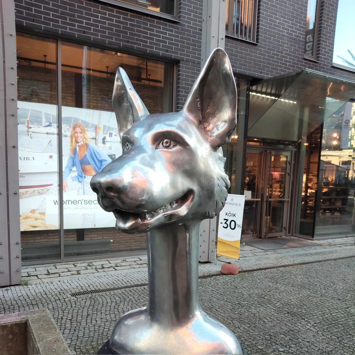 TrabzonDoggo's tweet image. Pk on dirait une hood SnapJawForge mdrrr (merci @Valentin_Dct de m&apos;avoir rappelé le nom)