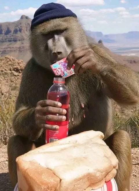 Raesetja123's tweet image. Your boyfriend at work after giving you girlfriend allowance. 😭