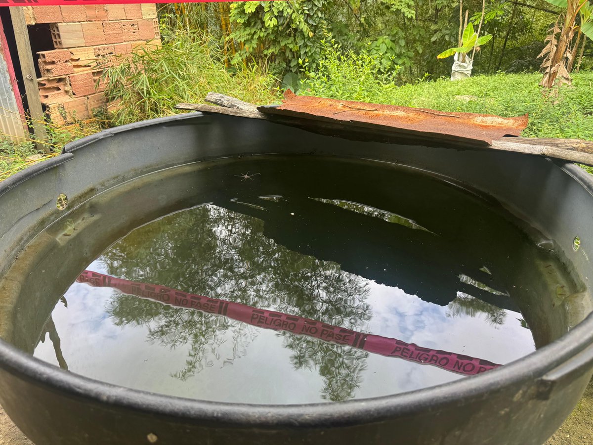 Alfred Ballesteros Alarcón tweet media