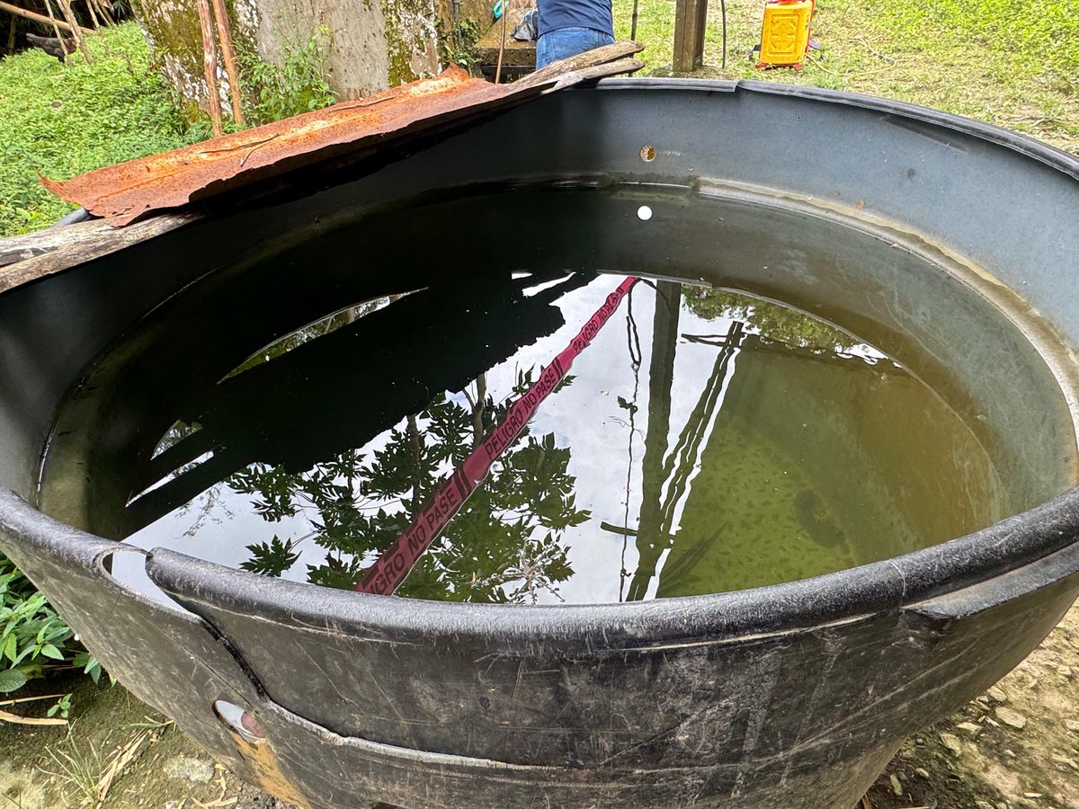 Alfred Ballesteros Alarcón tweet media