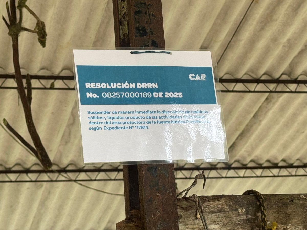 Alfred Ballesteros Alarcón tweet media