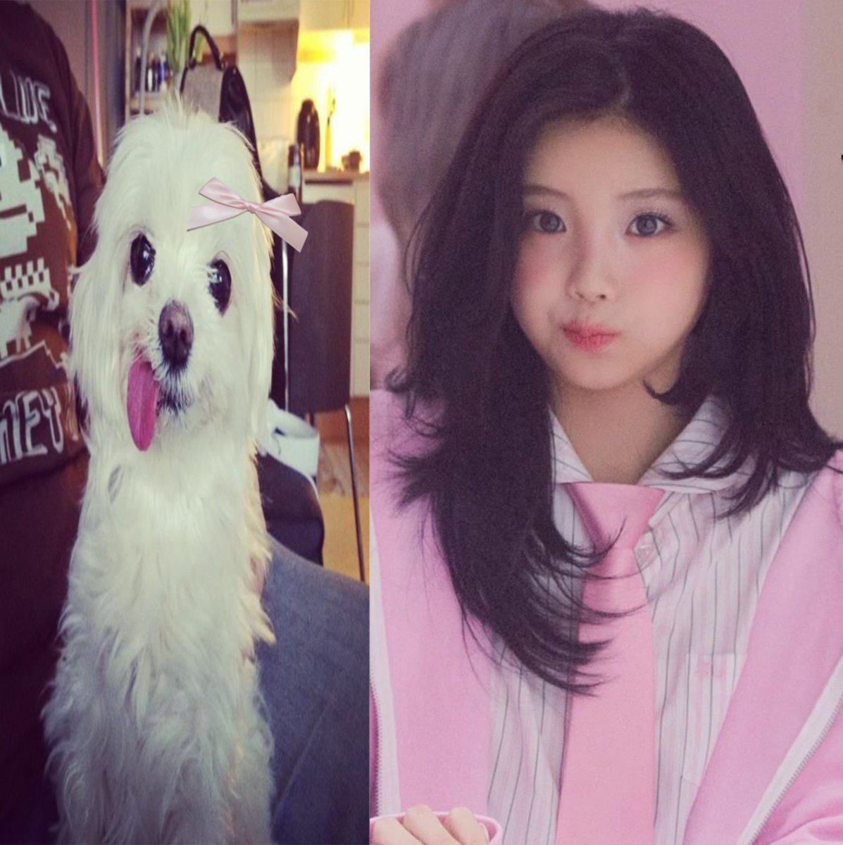 illitsyndrome's tweet image. 