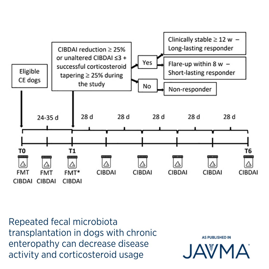 AVMAJAVMA's tweet image. Repeated fecal microbiota transplantation could reduce disease activity and corticosteroid usage in dogs with refractory chronic enteropathy. 🐕 Article: jav.ma/fmt @tamuvetmed #chronicenteropathy #fecalmicrobiotatransplantation #dysbiosis #bileaciddysmetabolism