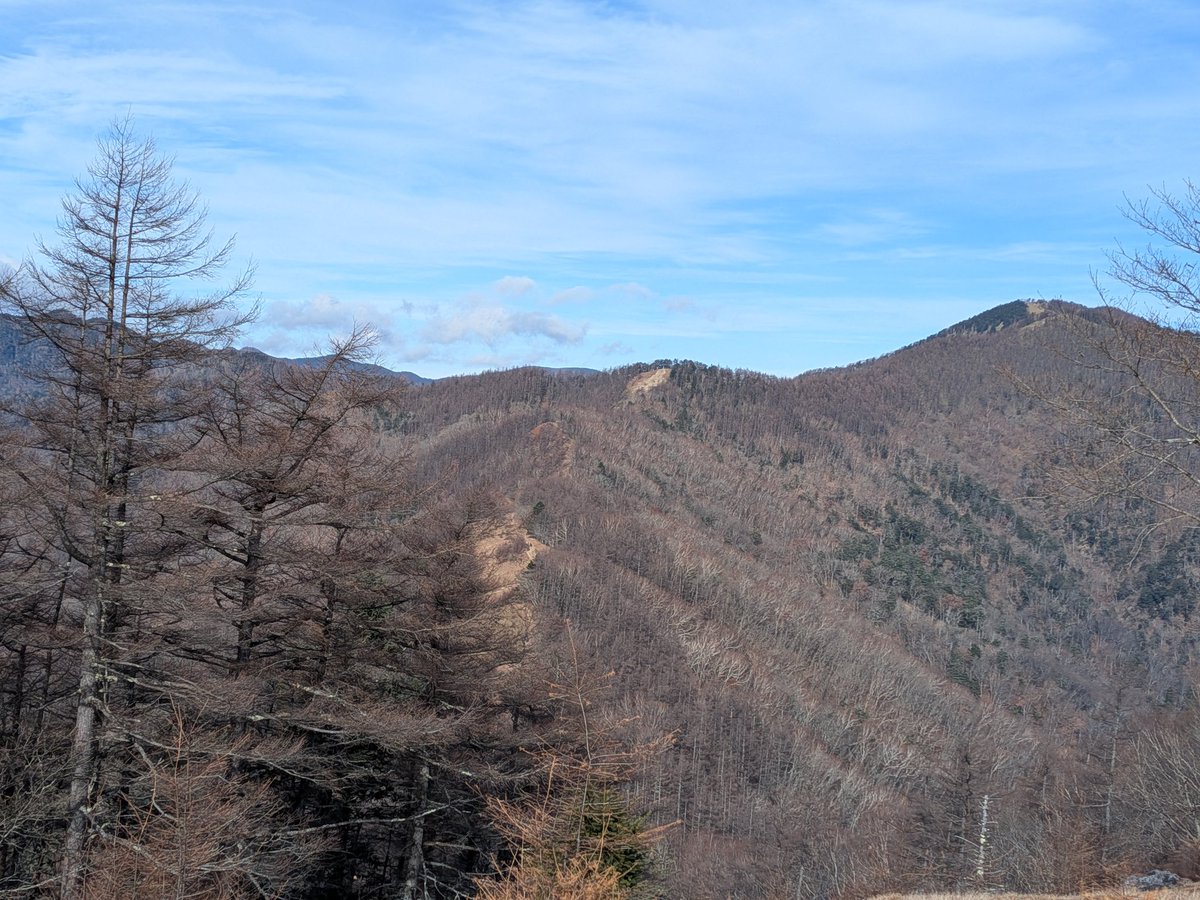 今日は親父と山登り