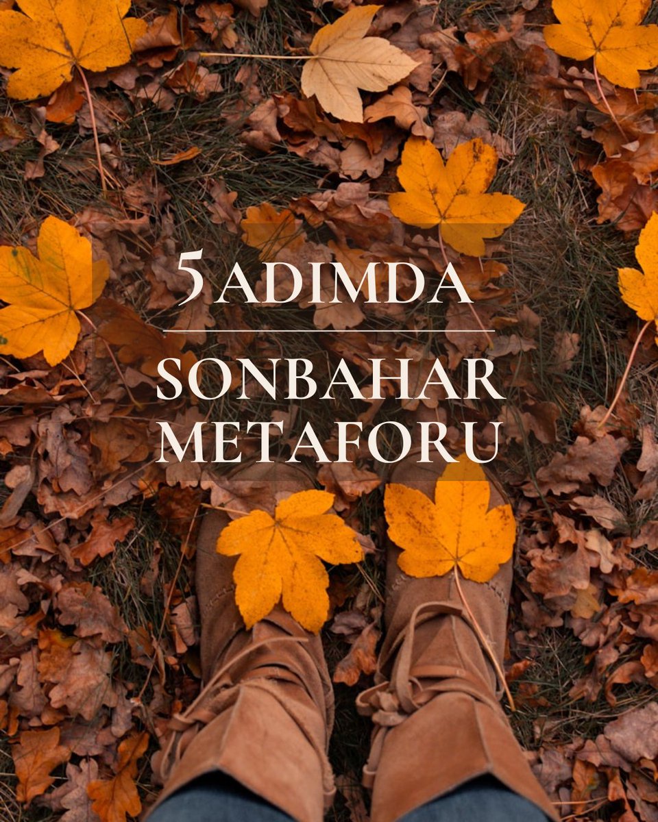 5 Adımda Sonbahar Metaforu 🍁

#sonbahar #autumn #AutumnVibes #autumntransformation #yenibaşlangıç #ilkdefagidiyorum