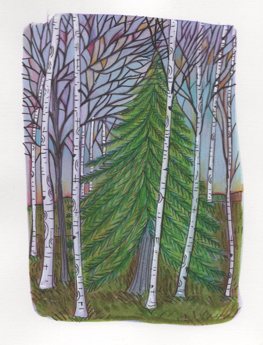 #sundaytrees #whereisthesnow #peacetoyou