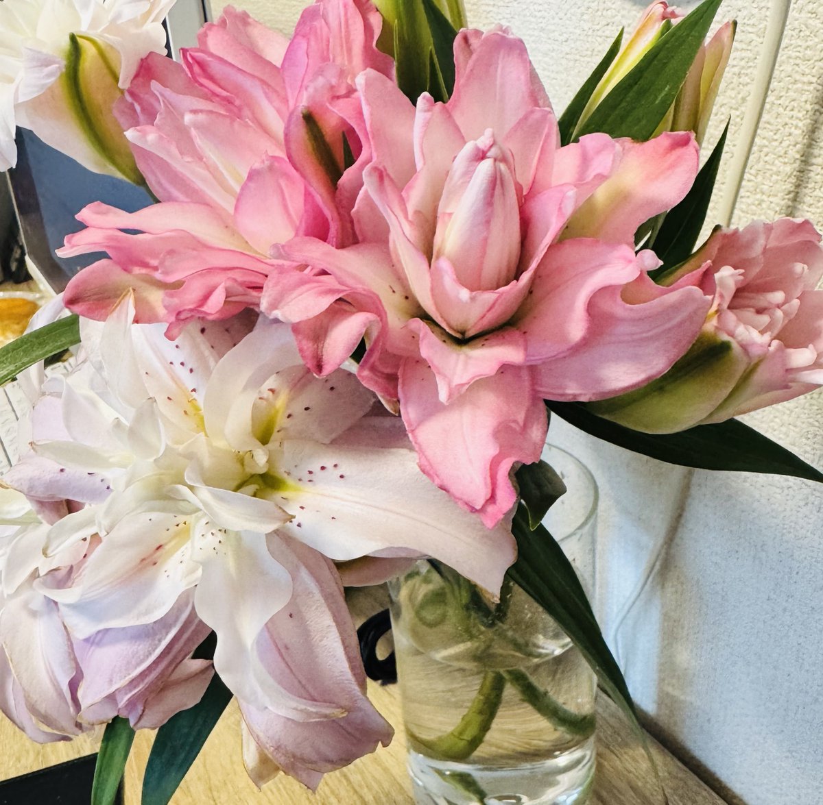 norami_0512's tweet image. Xこれない。

少しでも多くの方に『noteだけで月5万』をずっとマネタイズしてって欲しいので、今めちゃんこコンテンツ書きまくってます。

だからXこれない🥹