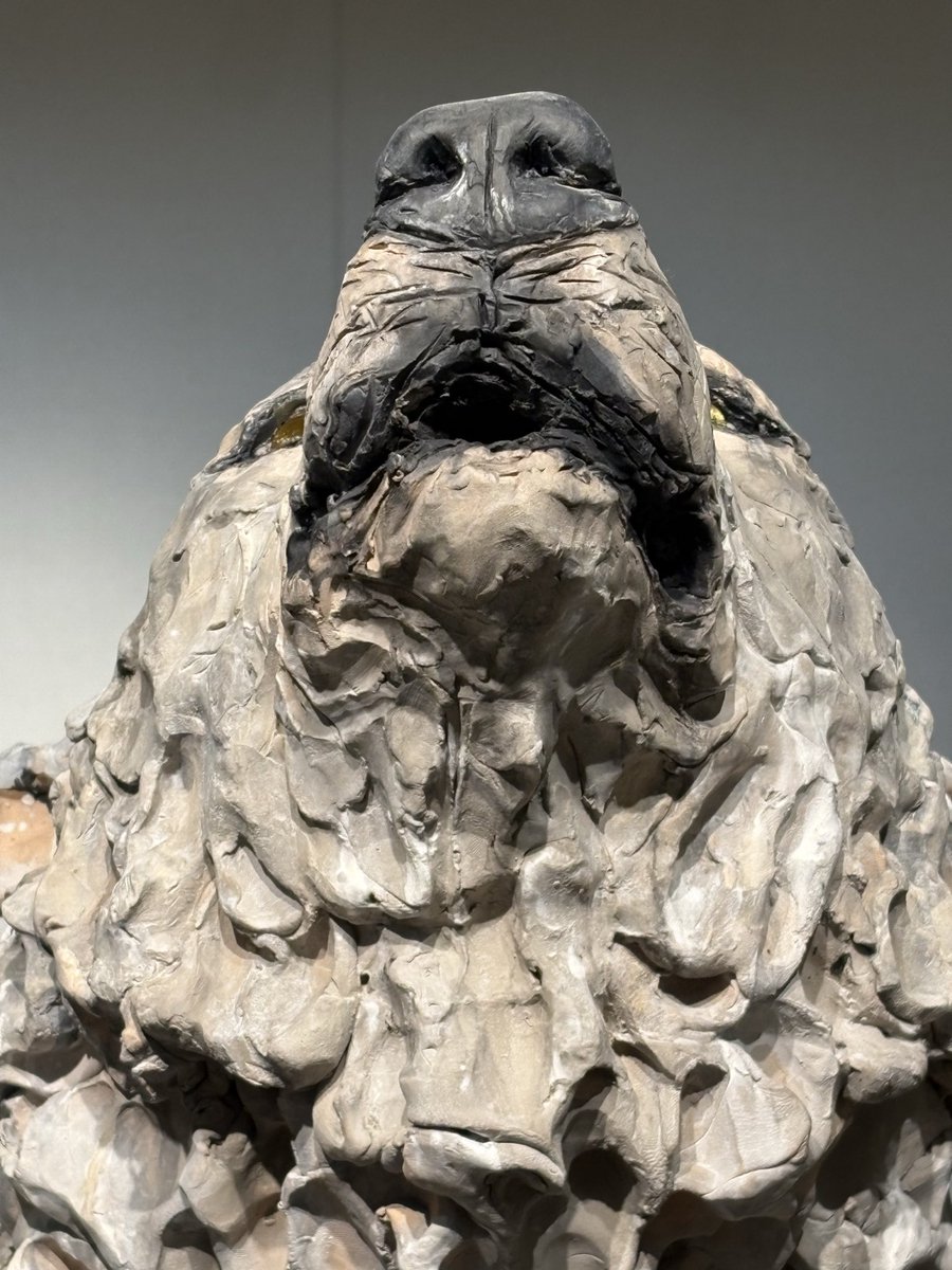 瀬戸 優 Yu Seto (@yu_seto1222) / Posts / X