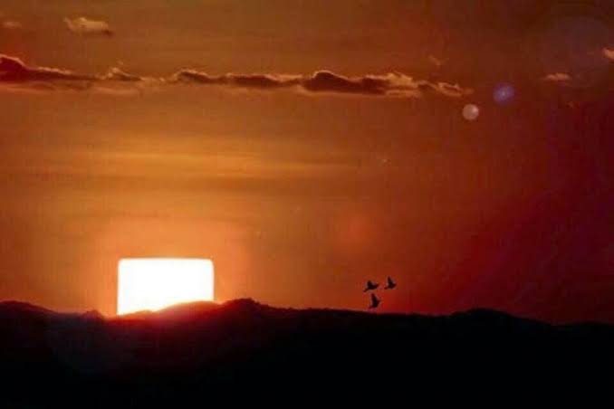 nacaomarvell's tweet image. BOM DIA MINHA LINDA NAÇÃO MARVEL 

Obs: é assim que presos vêem o sol. QUADRADO!