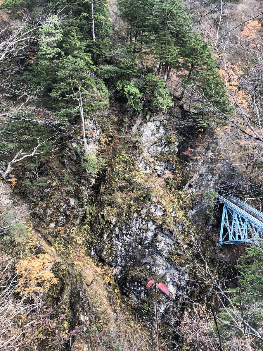 ryuki199530's tweet image. 黒部峡谷の旅に出ました。
人生観が変わる景色でした。
色々悩んで，吹っ切れてはないけど。
生きる目的を探すために生きる。
ときに山あり谷あり。
それも人生ではないか？
まだ30年しか生きてない。
やれる事があるはず。
今を生きよう。
#pref_toyama 
#torokkodensya 
#黒部峡谷
#宇奈月