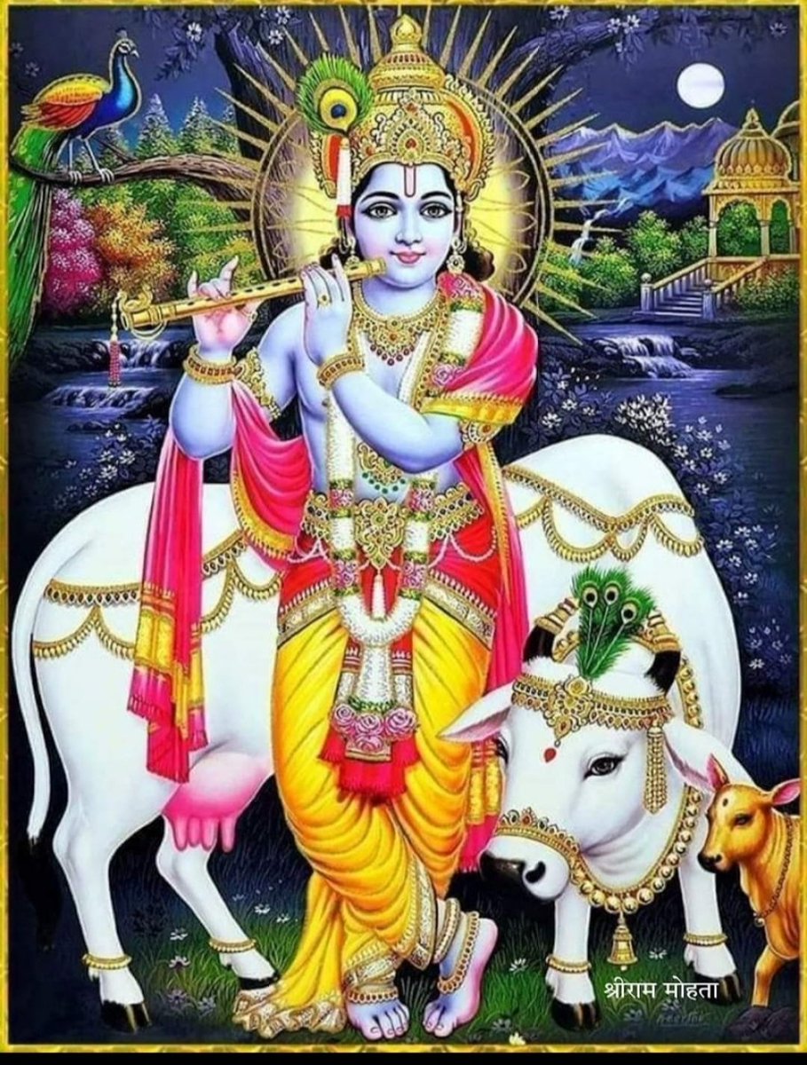 Harii_skr's tweet image. श्री कृष्ण गोविन्द हरे मुरारी 
हे नाथ नारायण वासुदेवा  ॥
शुभ संध्या 
जय श्री कृष्ण 
#INDvsSA 
#Kohli 
#sundayvibes 
#Spirit 
#Oscar 
#Ireland