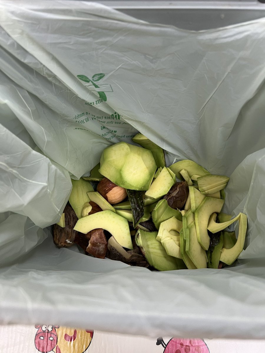 Thephyscomodo's tweet image. Yet another @sainsburys Avacado hits the waste bin straight away.   This one just hard and tasteless, others just rotten inside. #poorquality.   Roll on Thursday when the new Lidl opens!!