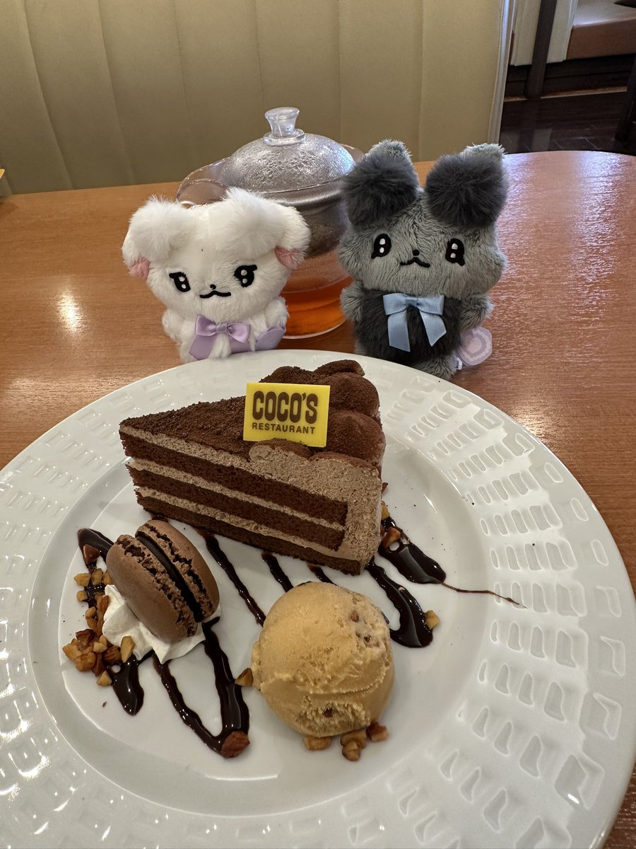 らむぅとうりゅふ
お仕事 お疲れ様です
🏵⸜(  ॑꒳ ॑ * )⸝🏵

 #ちあちあ写真部