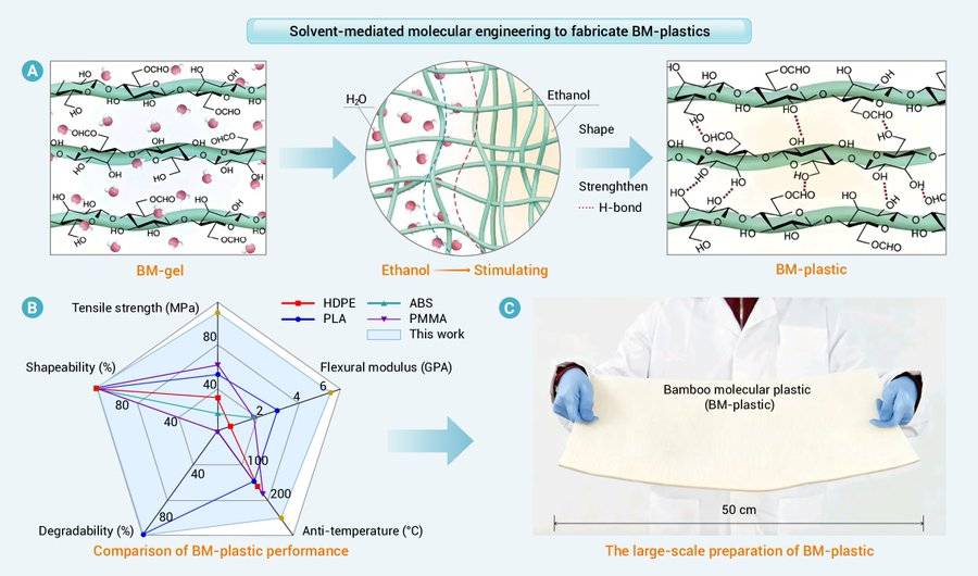 medntdj's tweet image. New commentary available online from @Innov_Materials! This piece discusses the solvent-mediated molecular engineering of bamboo cellulose for the development of high-performance biodegradable bioplastics.
the-innovation.org/article/doi/10…
via @Innov_Materials