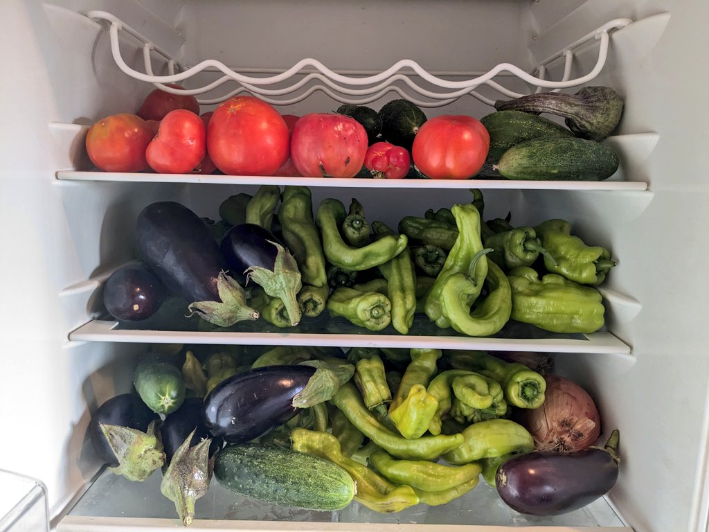 stockstomatoes's tweet photo. Tener un terreno es la mejor cobertura ante un futuro peor. Cada año en mi parcela produzco cientos de kilos de fruta, verdura, aceite, huevos y carne. No sabemos cómo evolucionará el mundo pero desde luego no tiene buena pinta. Si suben los precios me lo produzco yo. Si hay escasez de productos a mí no me faltará comida. 

No hace falta demasiado espacio, puedes conseguir un montón de producción con un huerto de 50m2, 20 gallinas y unos cuántos árboles frutales. Además conoces la trazabilidad de todos los productos, qué fitosanitarios les has echado, y disfrutarás de unos sabores que raras veces encontrarás en un producto de supermercado.

Todo esto no es gratis. Mantener un terreno con su huerto, animales y árboles requiere tiempo. Pero también es un hobby precioso. Cultivar tu propia comida provoca una satisfacción enorme, te mantiene en forma y te hace adquirir habilidades fundamentales que la mayoría de la sociedad ha olvidado.

Un buen hobby para practicar en familia, para enseñar a tus hijos que los huevos y los tomates no se generan espontáneamente en el supermercado. Una actividad básica que te reconcilia con tu naturaleza humana cada día más desdibujada en esta sociedad moderna.