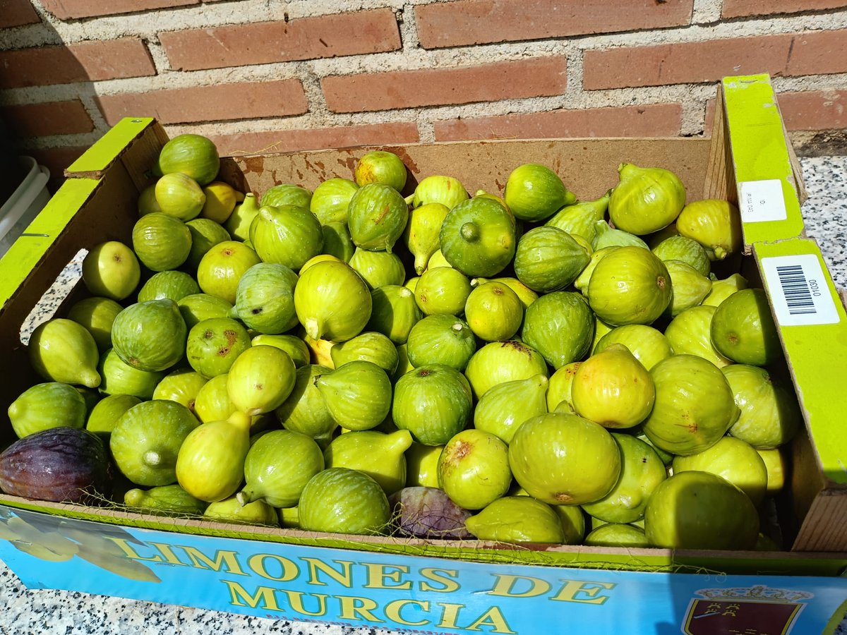 Tener un terreno es la mejor cobertura ante un futuro peor. Cada año en mi parcela produzco cientos de kilos de fruta, verdura, aceite, huevos y carne. No sabemos cómo evolucionará el mundo pero desde luego no tiene buena pinta. Si suben los precios me lo produzco yo. Si hay