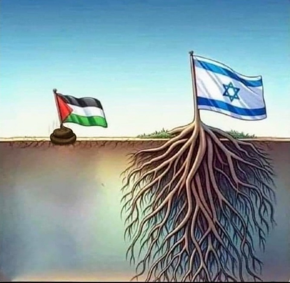 Vivid.🇮🇱 tweet media