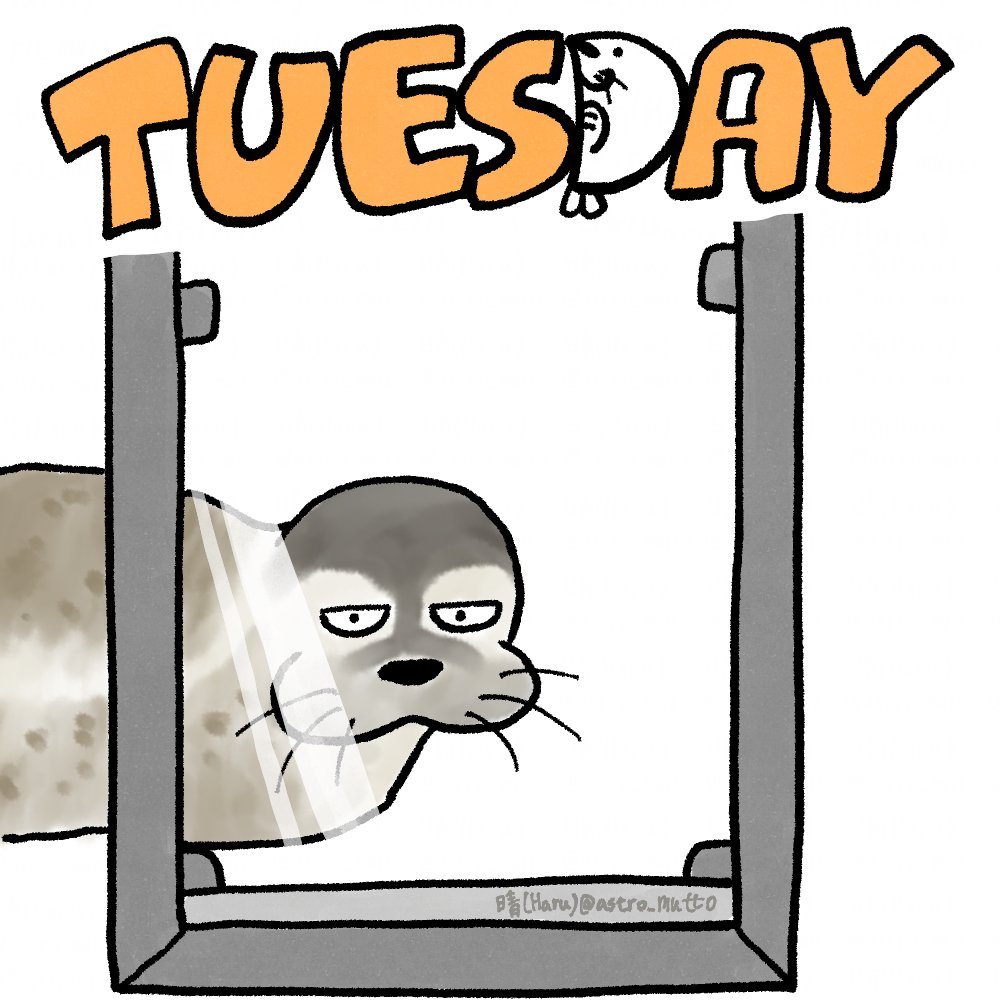 おはようございます☀

Good morning ☀️