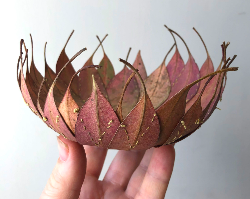 LondonEmbSchool's tweet photo. There's plenty of foliage around us at the moment, why not take some inspiration from artist Alice fox and see what you could craft from them!!

#autumn #AliceFox #craftingwithnature

https://t.co/u49WfrvkDZ https://t.co/1mwk1ZtUVx