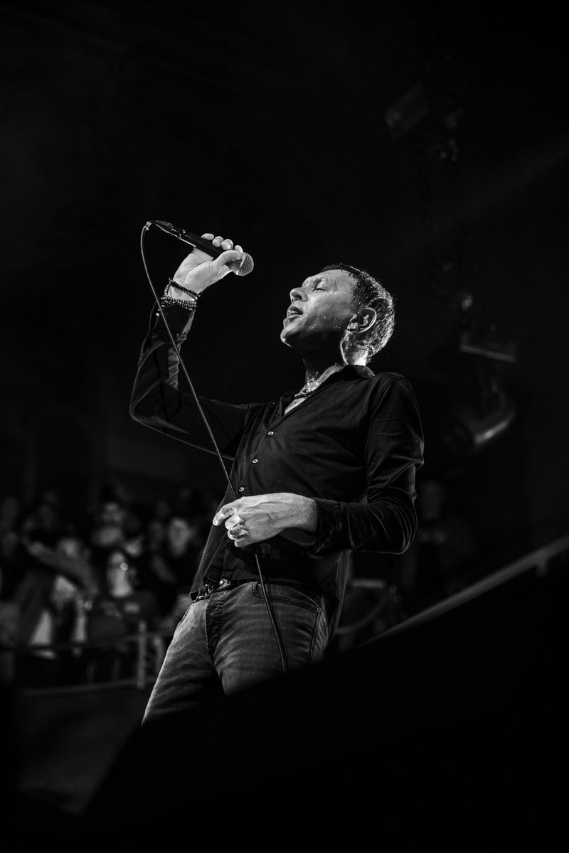 Shed Seven tweet media