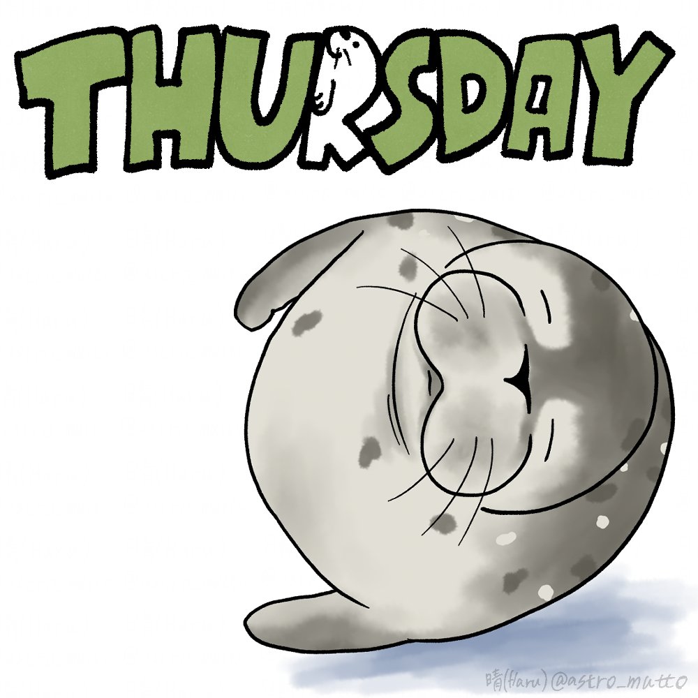 おはようございます☀

Good morning ☀️