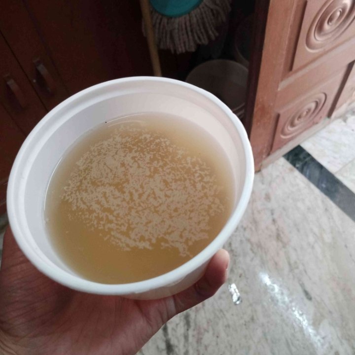 vipin_here's tweet photo. Hello @VipulGoelBJP @KPGBJP @MCF_Faridabad

We are being supplied this sewer water in our homes. This water gets mixed in our water tanks and becomes source of deadly infection making us sick and get admitted in hospitals.
We Khatriwara, ward 31 people also deserve clean water. https://t.co/Xmx7MmT0A5