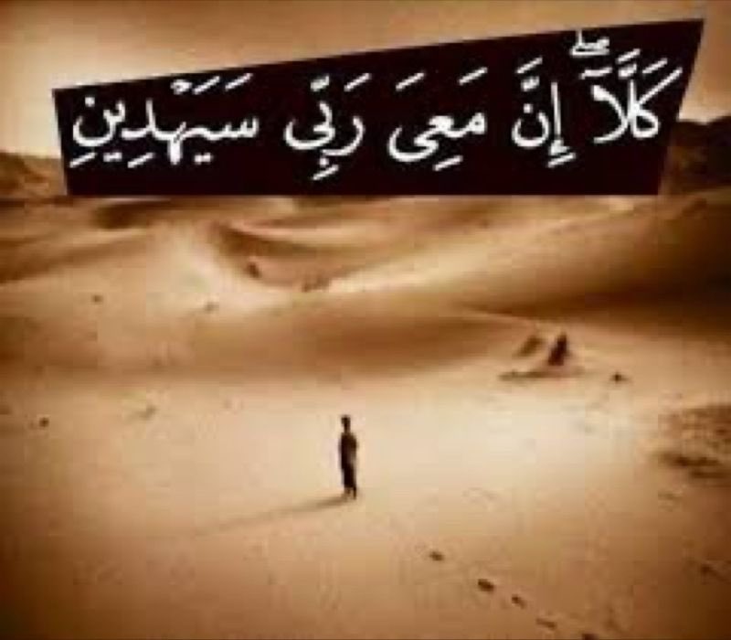 حاشاه أن يخذلك و هو يَعلمُ أن قلبك قبل لسانك يُردد : إنَّ معي ربي