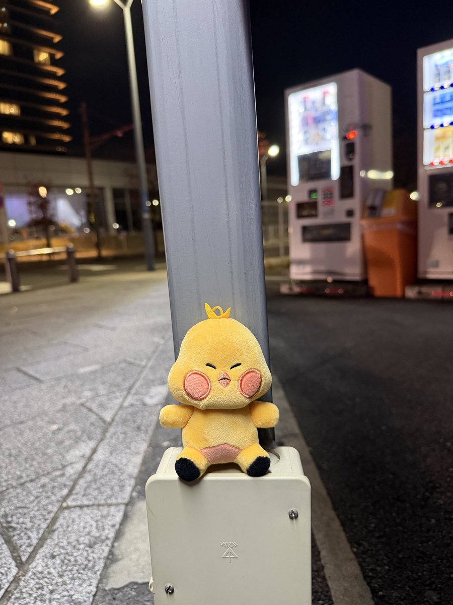 t0m00_'s tweet photo. oneusライブ　Zepp横浜　11.23

イドくん落ちてましたT^T
桜木町駅方面　ぴあアリーナMM方面
おそらくチェーンちぎれちゃってはずれちゃったみたいです💦
確保したので、もし心当たりある方いればお声がけください🍀✨ https://t.co/YXmhrdcRni