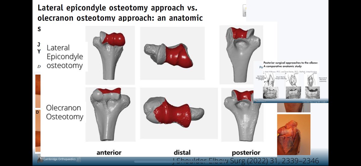 Lee Van Rensburg tweet media