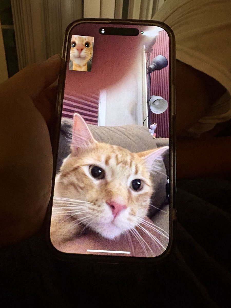 fluffy_Yeonjun's tweet image. 🐱🤳🐱